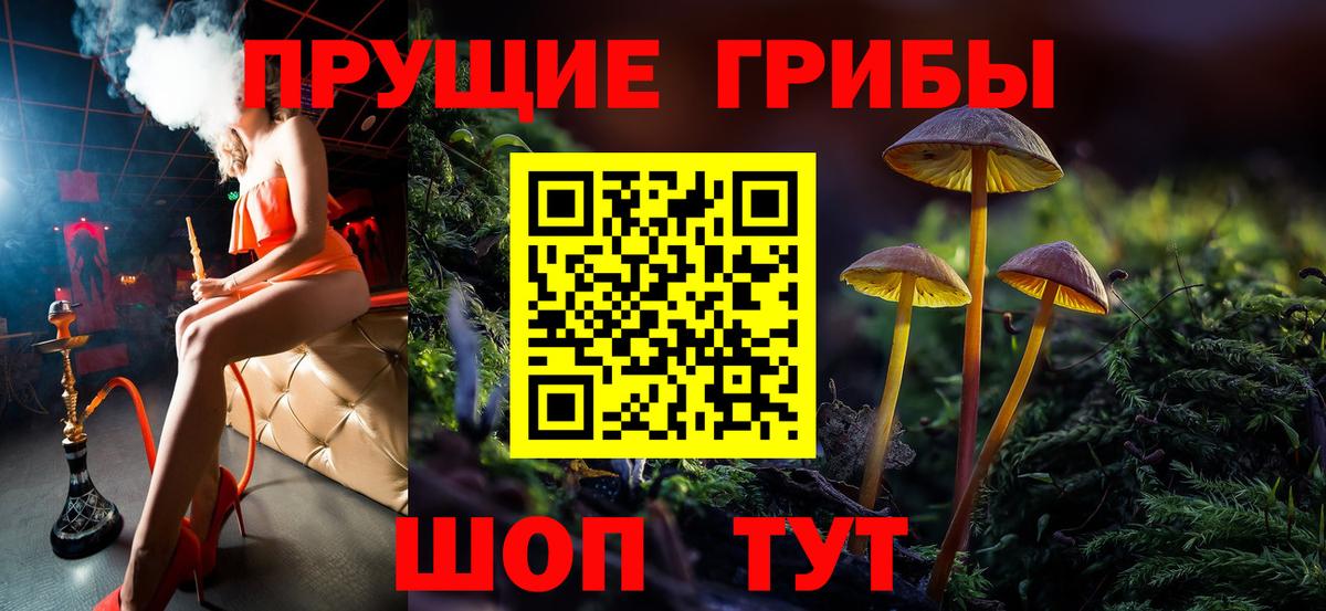 Псилоцибиновые грибы ЛСД Сыктывкар