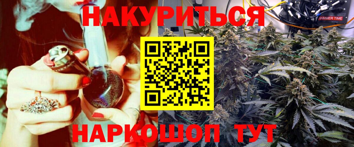 Бошки Шишки планчик Сыктывкар